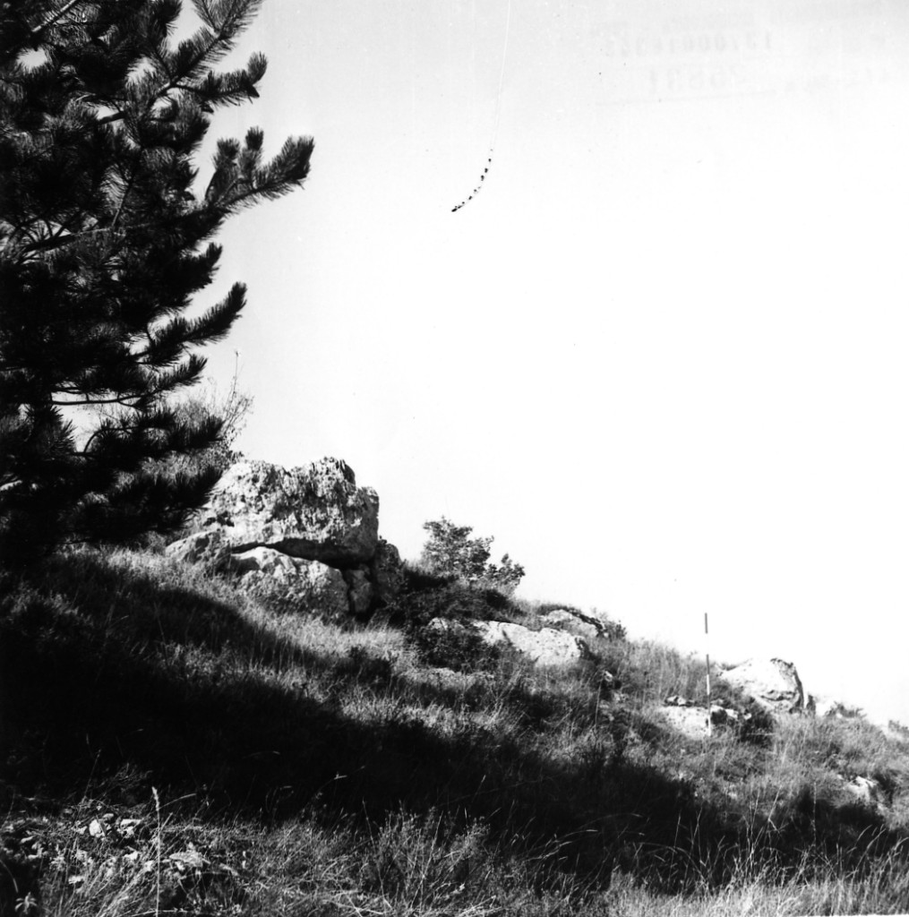 Oppidum di Rocca Vecchia (insediamento fortificato, insediamento) - Pescina (AQ)  (V-IV a.C)