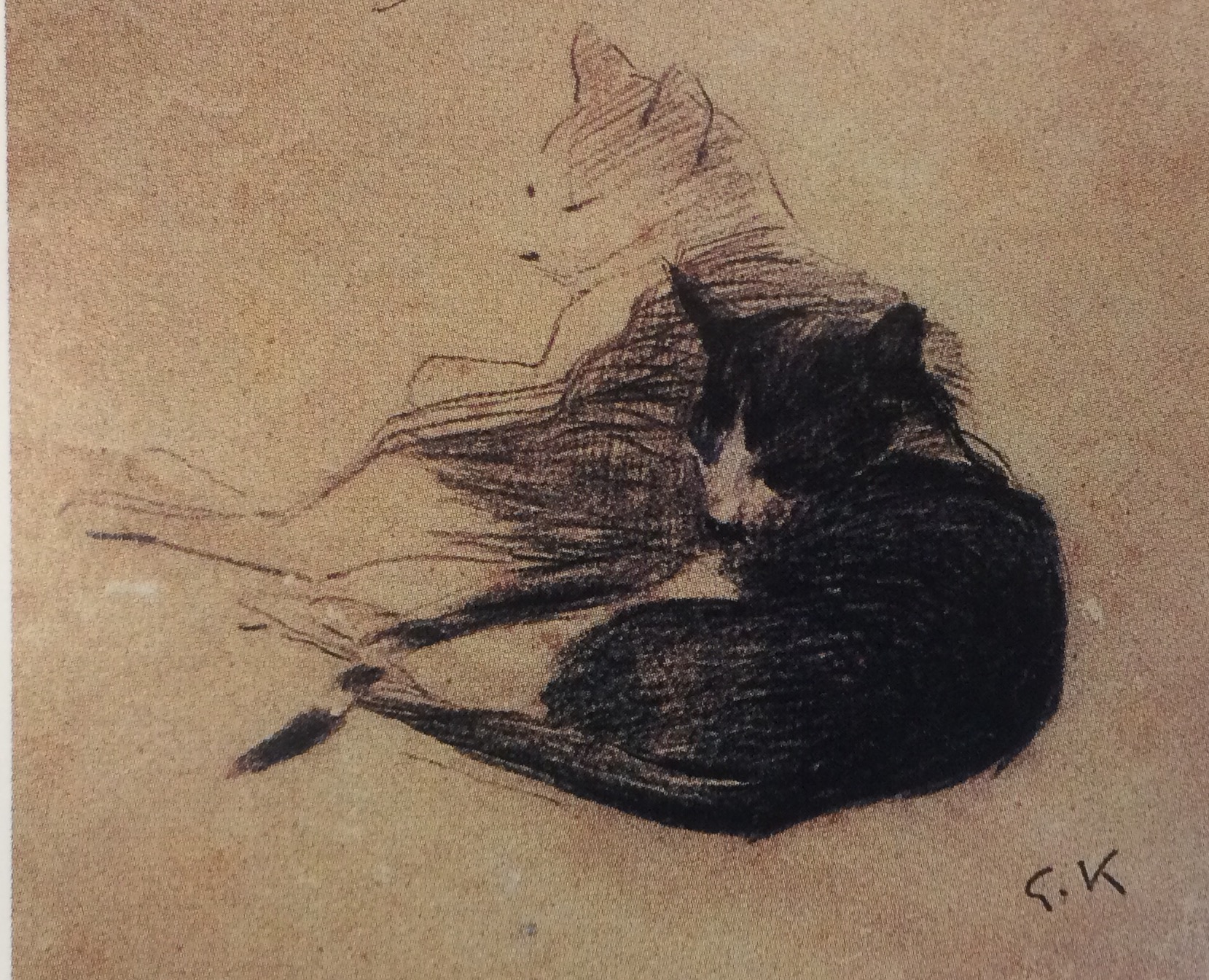 I gatti, Figure animali (disegno) di Kienerk Giorgio (sec. XIX)