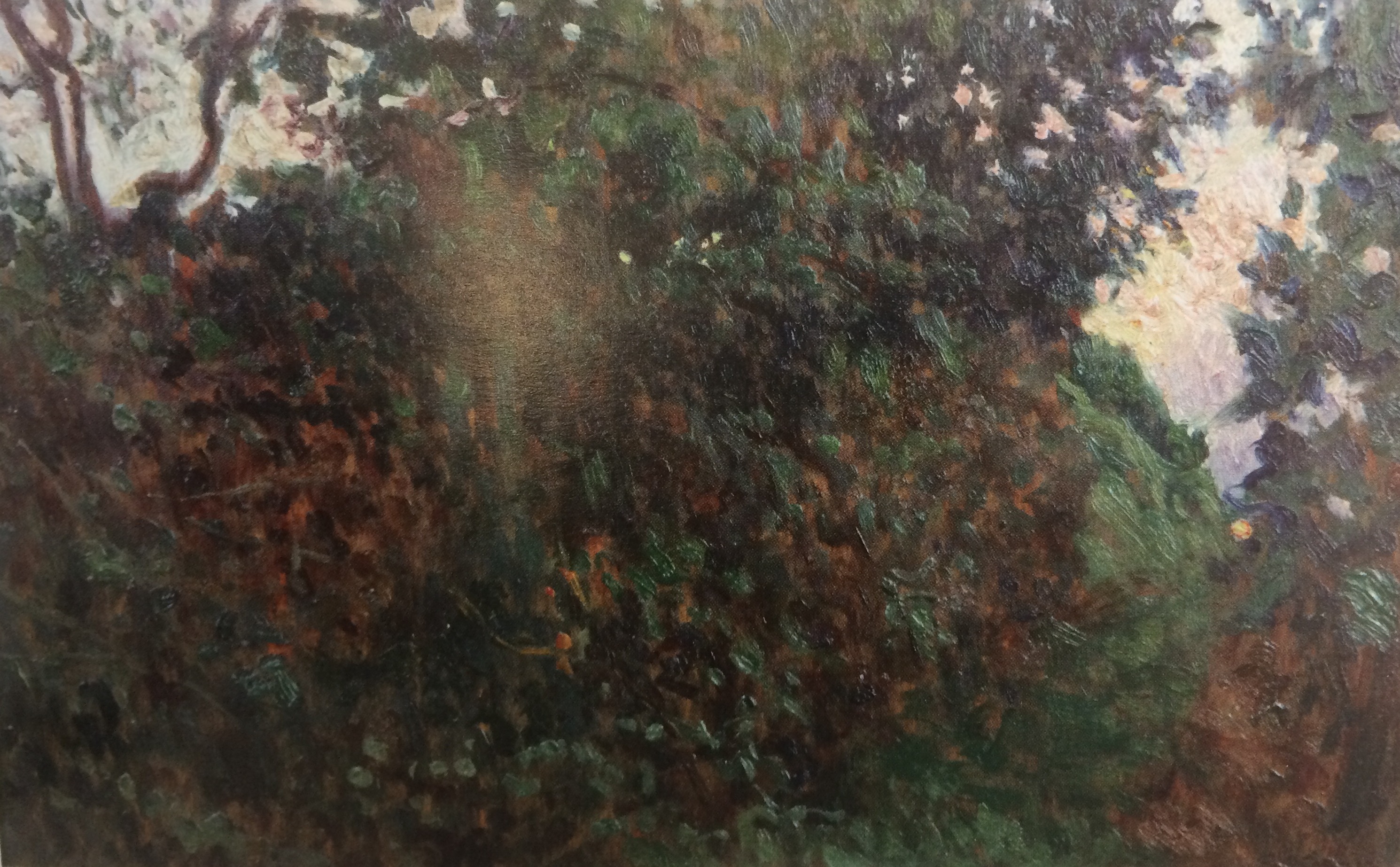 Siepe, Paesaggio campestre (dipinto) di Kienerk Giorgio (sec. XX)