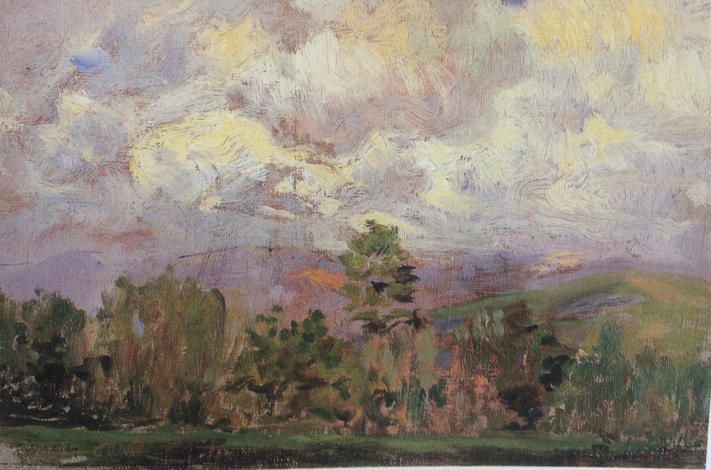 Campi presso Marina di Massa, Paesaggio campestre (dipinto) di Kienerk Giorgio (sec. XX)