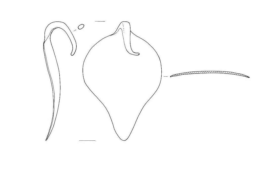 applique di recipiente (Età romana)