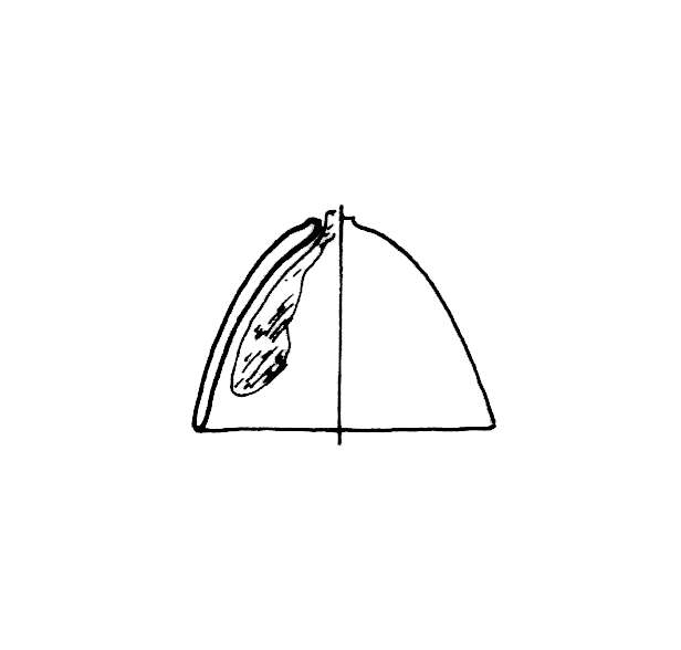 campanello (Età romana)