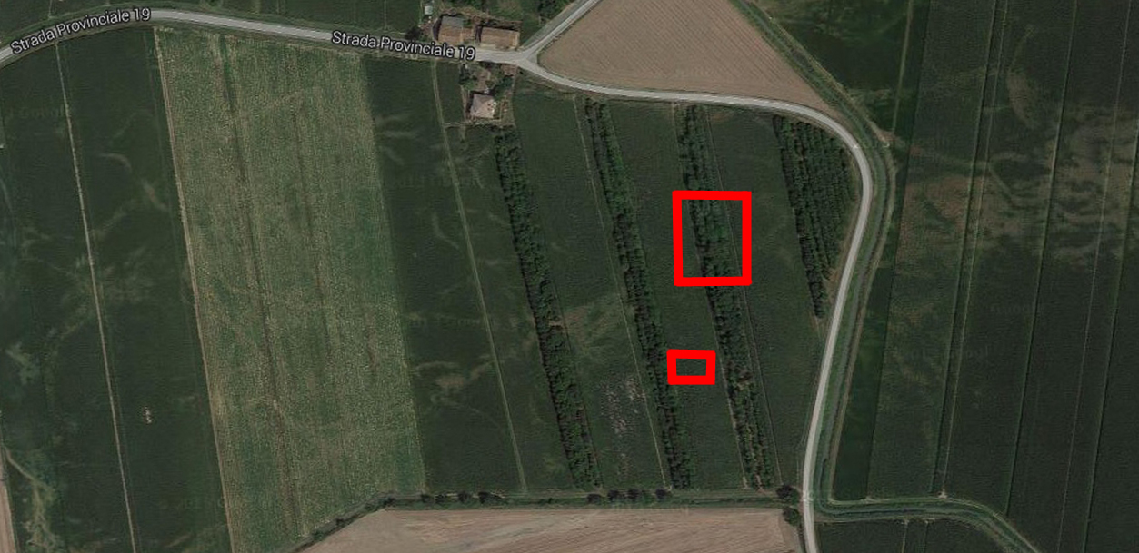 Insediamento rustico di Boaria Burato (sito pluristratificato) - Castelguglielmo (RO)  (secc. I a.C. - IV d.C./ V d. C. - X d.C)