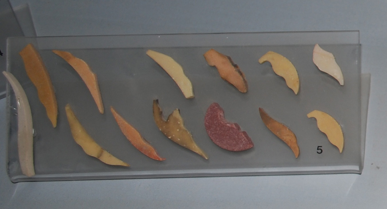 elemento decorativo (III)