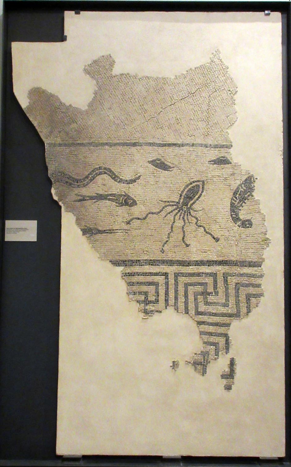 animali marini (mosaico) (II-III)