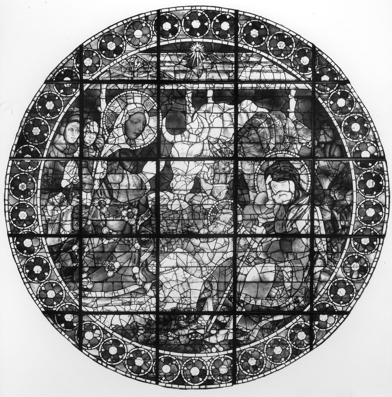 natività di Gesù (vetrata) di Paolo Uccello (attribuito) (sec. XV)