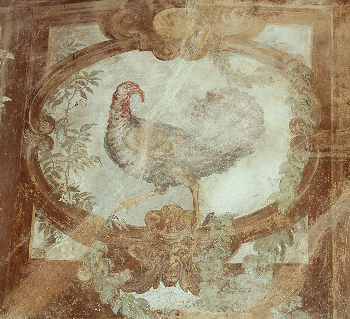pergolato (dipinto) di Barbatelli Bernardino detto Poccetti (e aiuti) (sec. XVI)