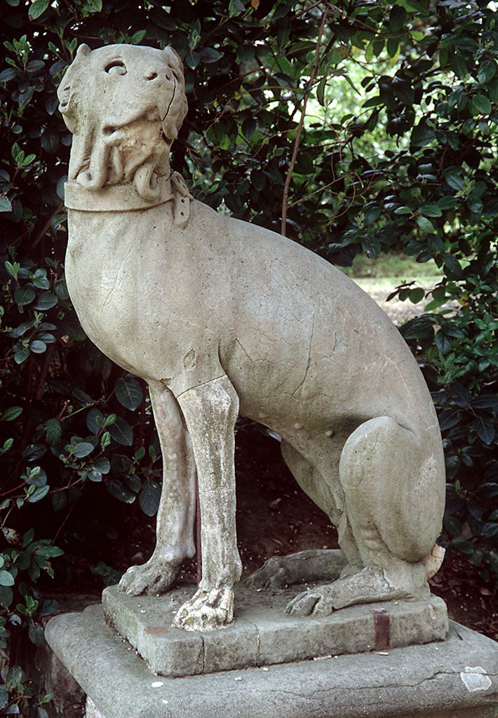 cane seduto (scultura, serie) di Ferrucci Romolo detto Romolo del Tadda (fine/ inizio secc. XVI/ XVII)