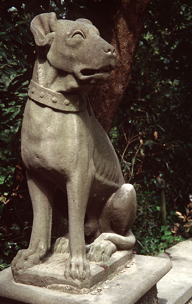 cane seduto (scultura, serie) di Ferrucci Romolo detto Romolo del Tadda (fine/ inizio secc. XVI/ XVII)
