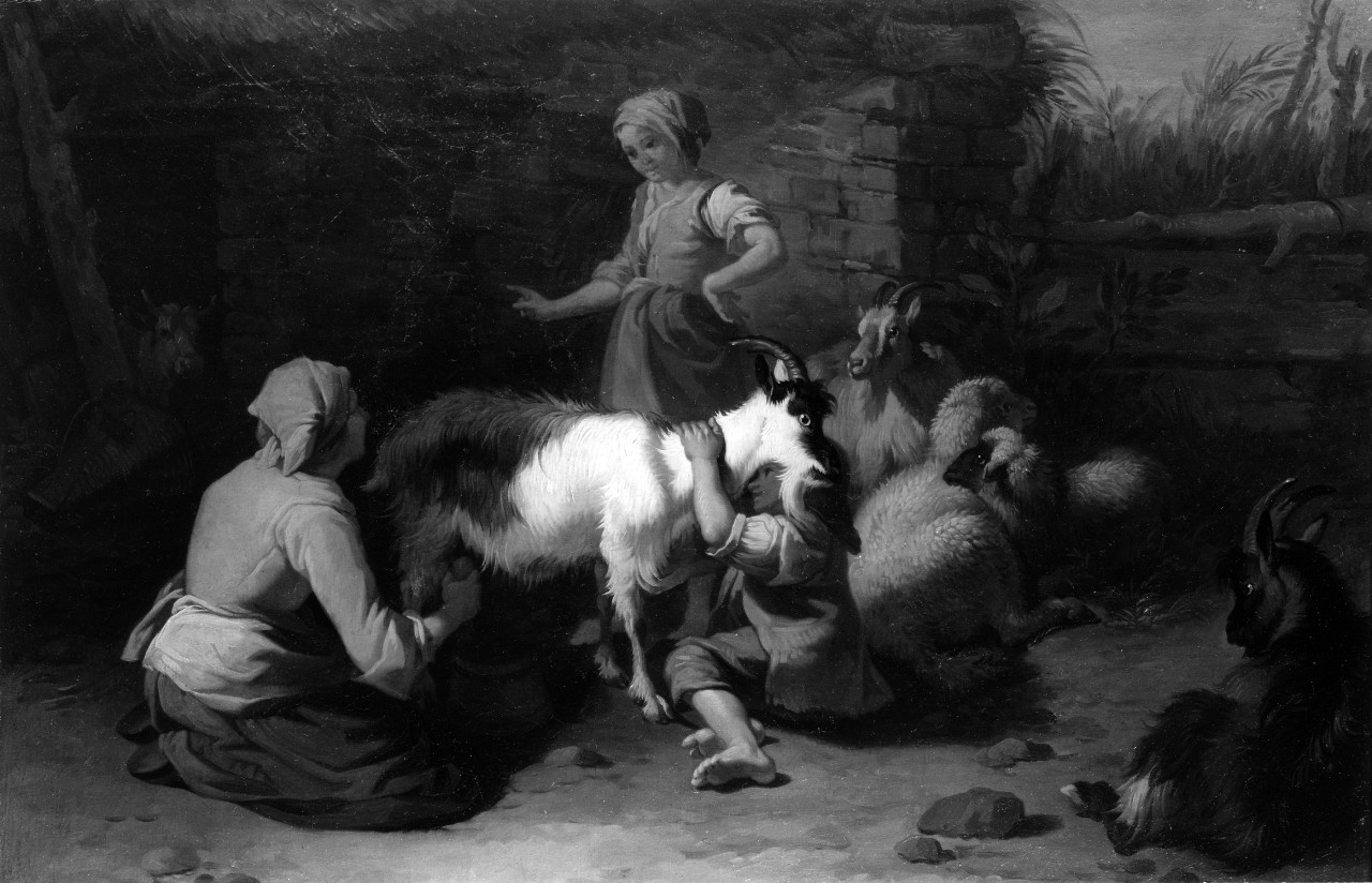 pastorelle, pastore con capre e pecore (dipinto) di Londonio Francesco (sec. XVIII)