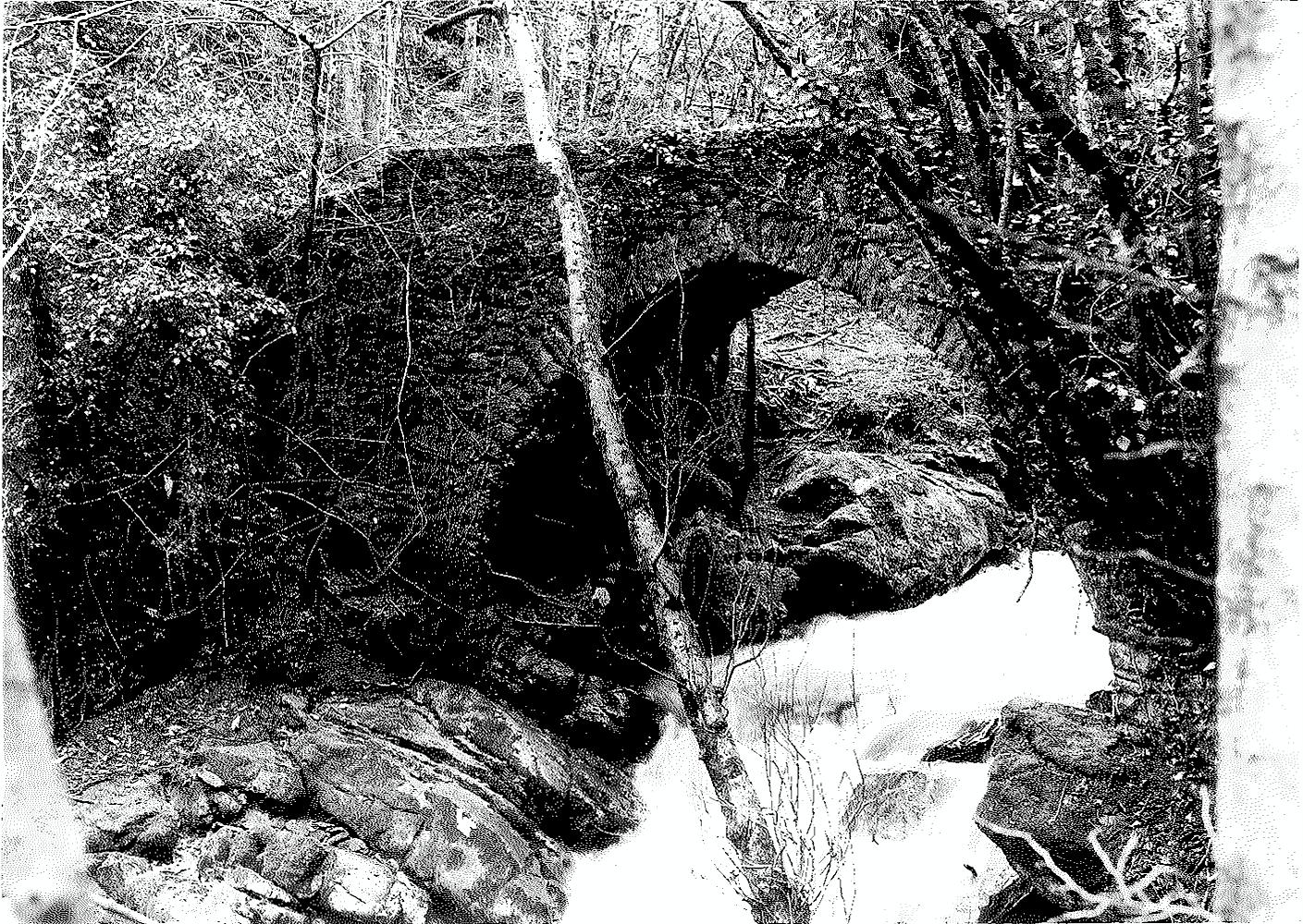Ponte sul Fosso Coccia (ponte, pedonale) - Bagni di Lucca (LU)  (XIV, metà)