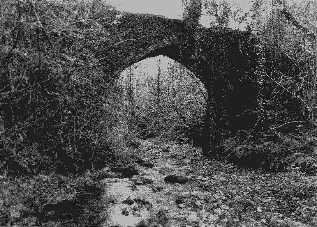 Ponte sul Canal Grande (ponte, pedonale) - Gallicano (LU)  (XIV, inizio)