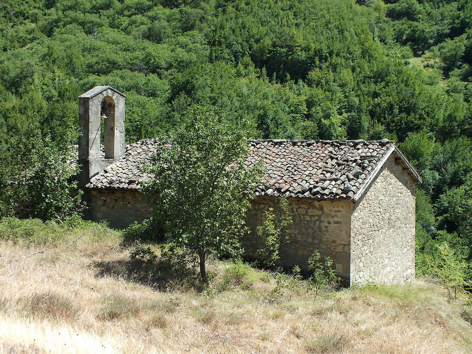 Chiesa di S. Savino (chiesa, parrocchiale) - Acquasanta Terme (AP) 