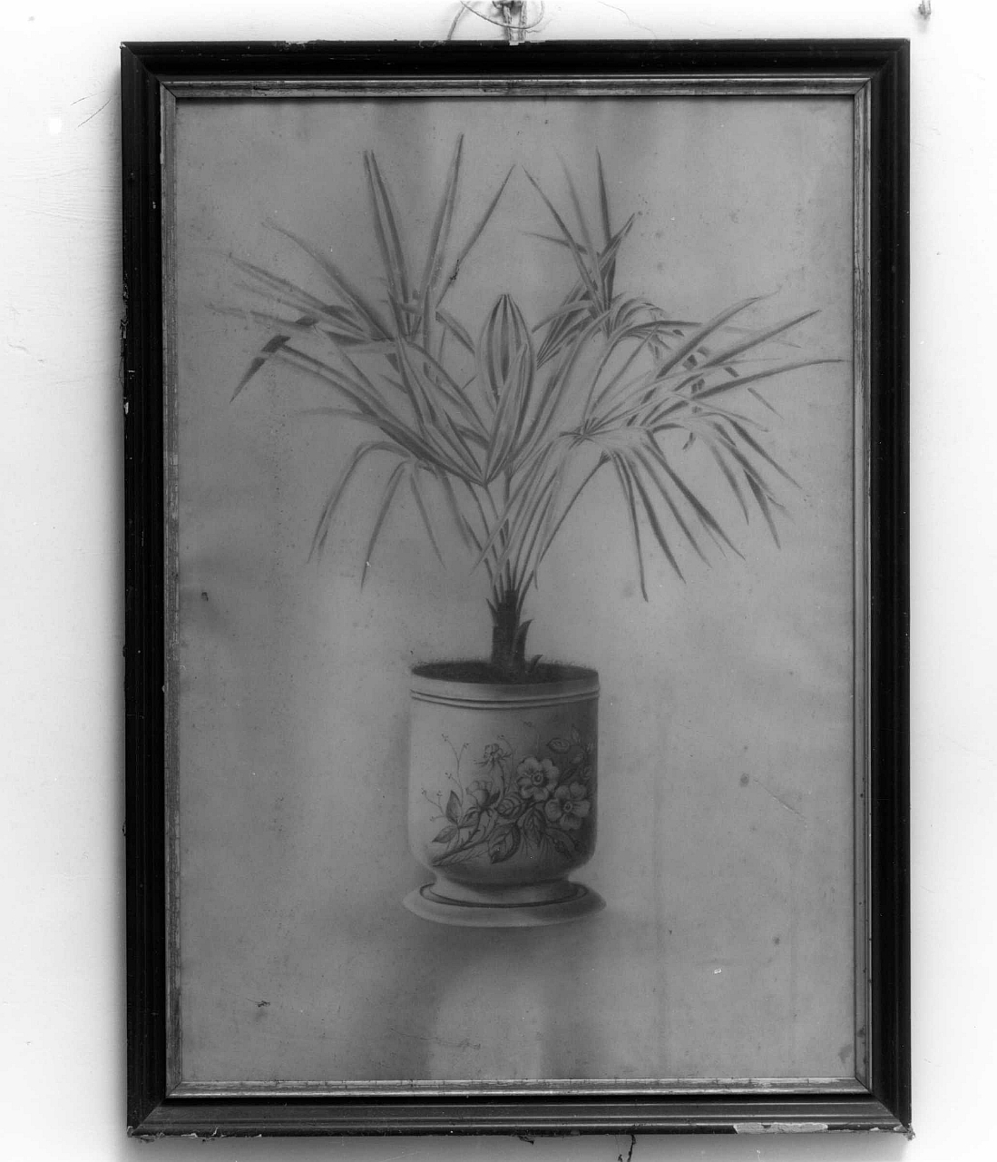 vaso con pianta (disegno) - ambito fiorentino (prima metà sec. XX)