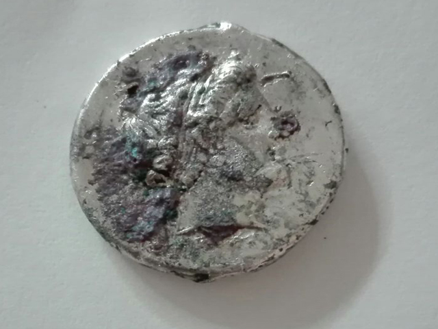 moneta - Didracma (primo quarto III a.C)