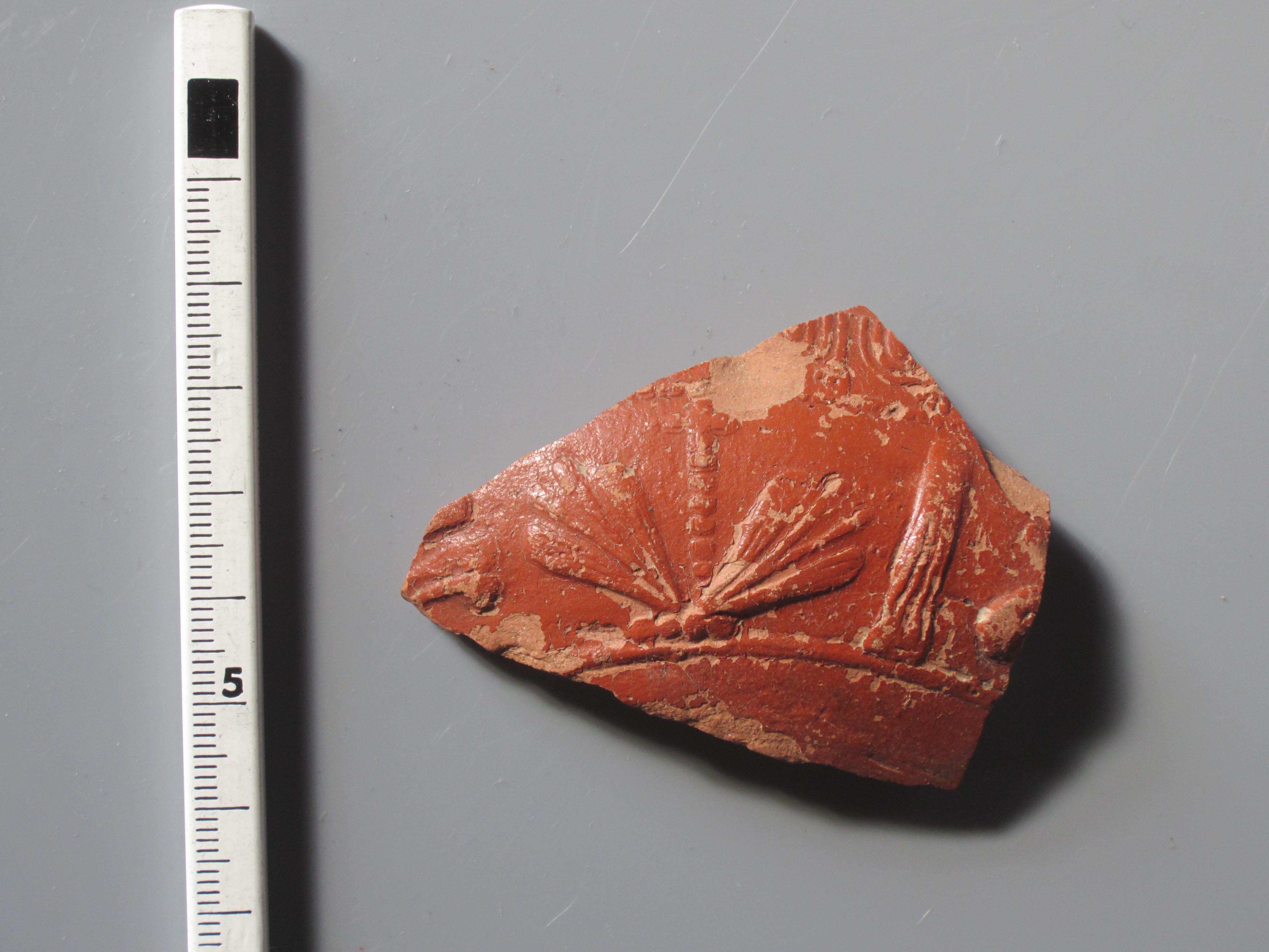 coppa/ parete, Dragendorff 37 (secc. I-II d.C)