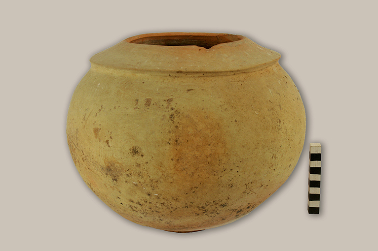 olla/ a fascia rilevata - ambito daunio (età daunia)