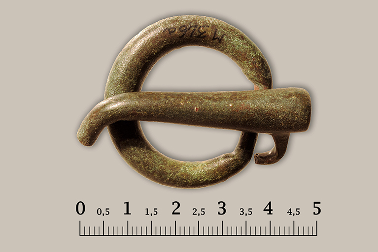 fibbia - ambito daunio (età tardoantica-altomedievale)