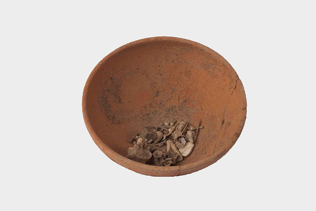 coppa - ambito daunio (secc. III/ II a.C)