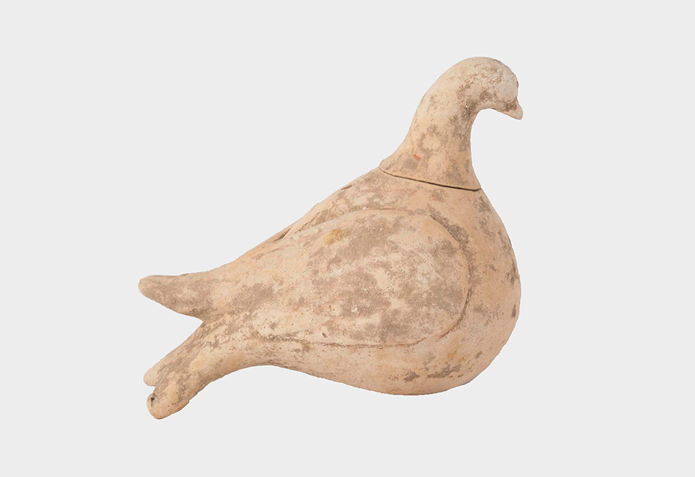 colomba - ambito daunio (secc. III/ II a.C)