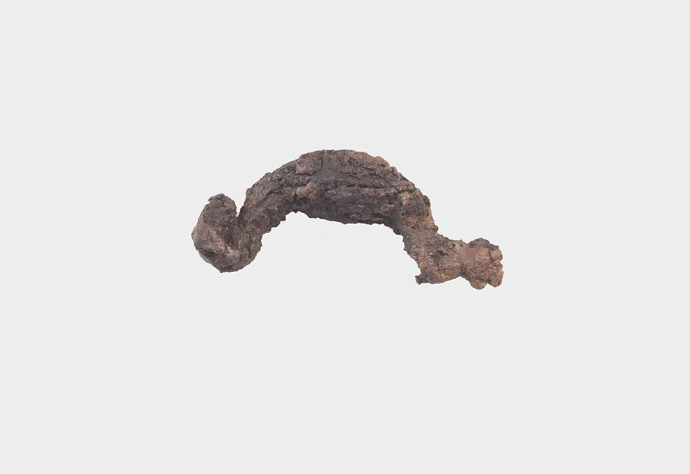 fibula/ ad arco semplice (secc. III/ II a.C)
