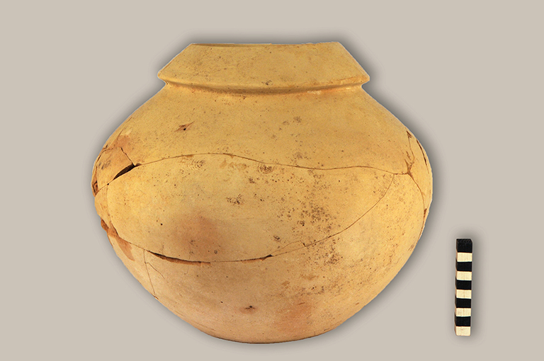 olla/ a fascia rilevata - ambito daunio (IV a.C)