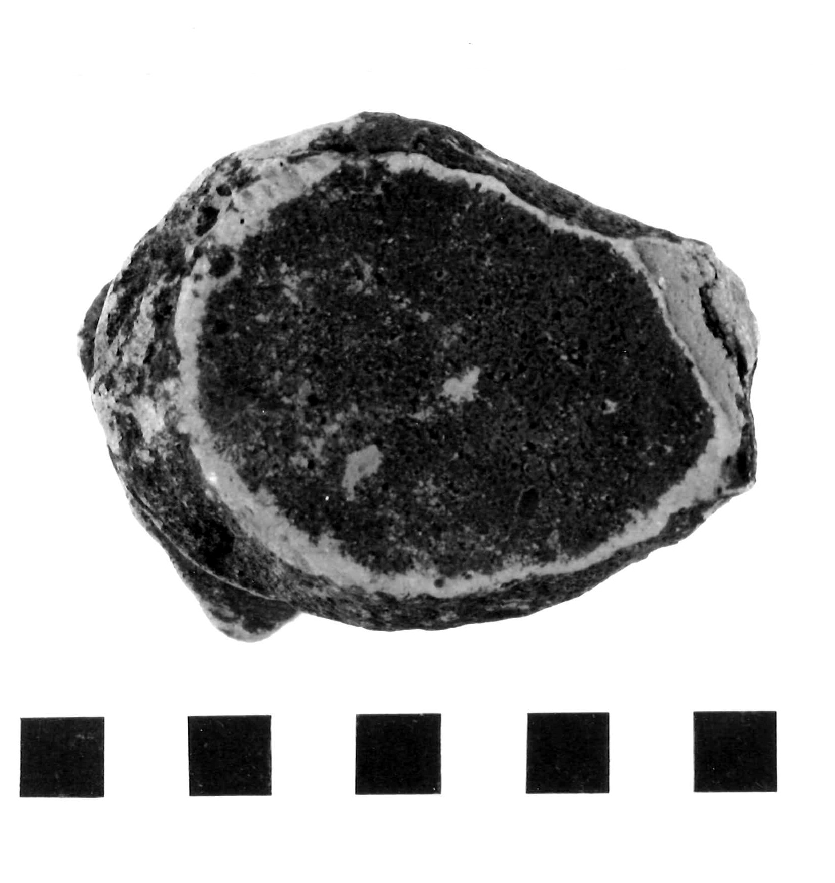 fondo concavo - civiltà picena (IV a.C, III a.C)