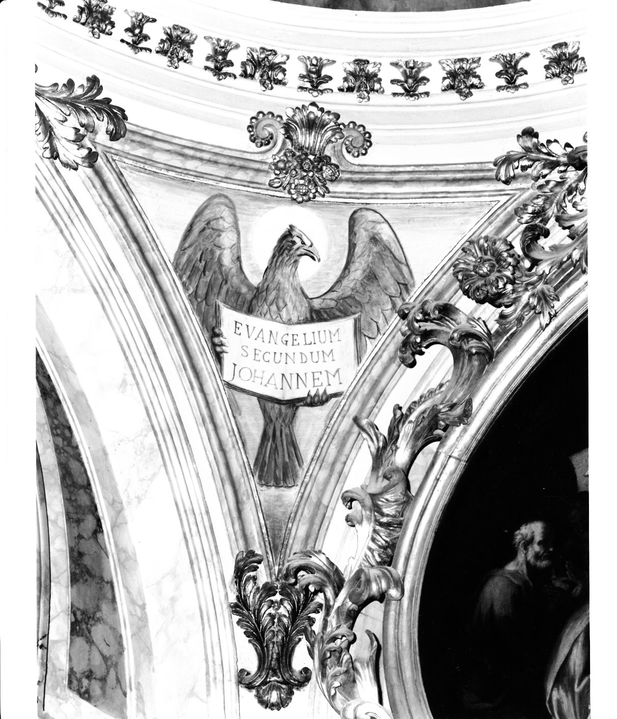 simbolo di San Giovanni Evangelista: aquila (dipinto, complesso decorativo) - ambito cortonesco (sec. XVII)