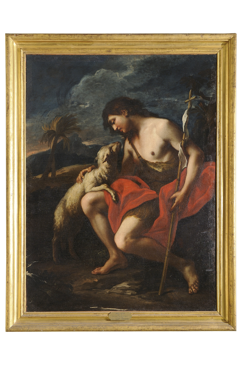 San Giovanni Battista nel deserto (dipinto) di Seiter Daniel (ultimo quarto sec. XVII)