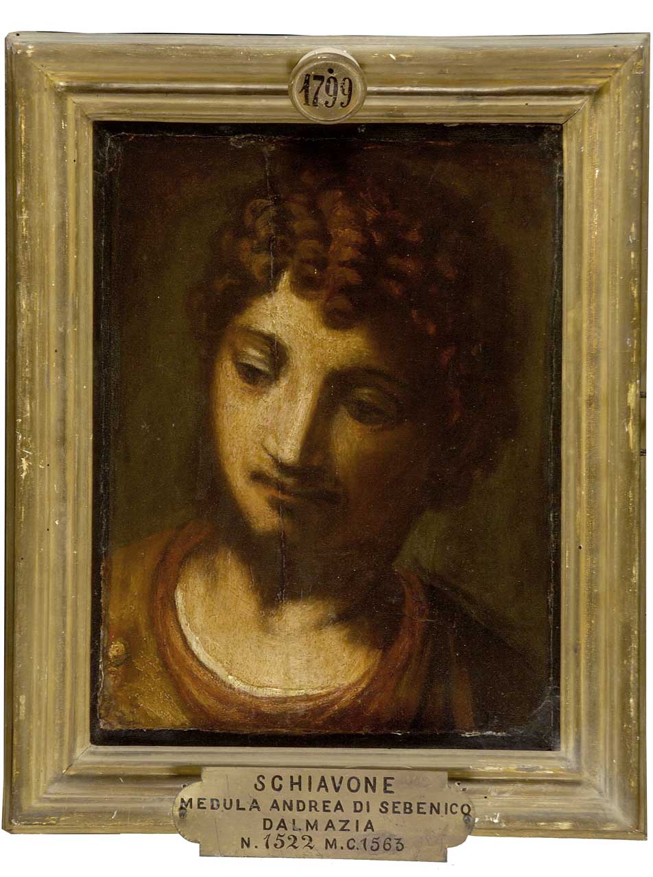 testa d'uomo (dipinto) di Schiavone Andrea (metà sec. XVI)