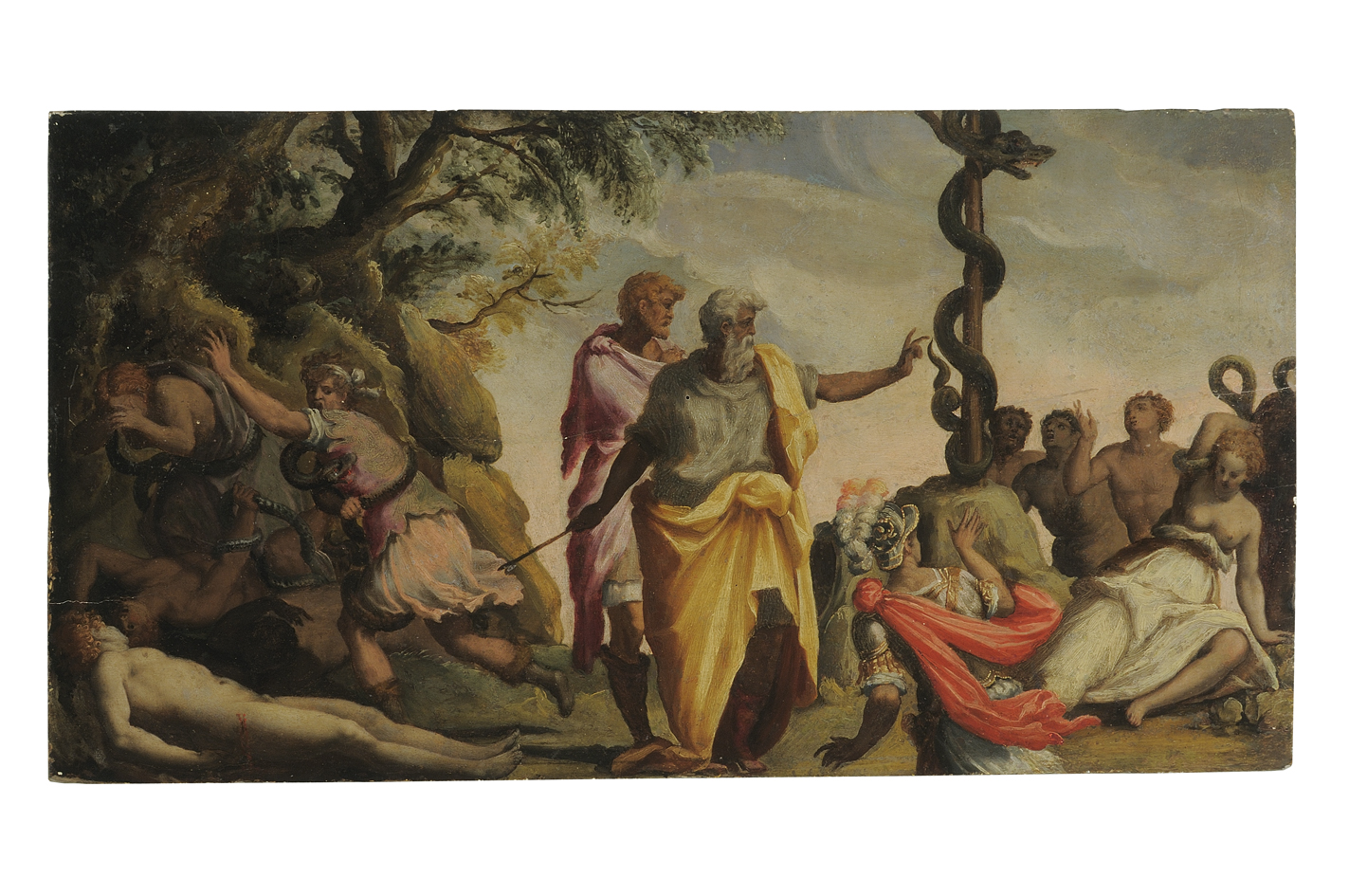 Mosè e il serpente di bronzo (dipinto) di Allori Alessandro (terzo quarto sec. XVI)