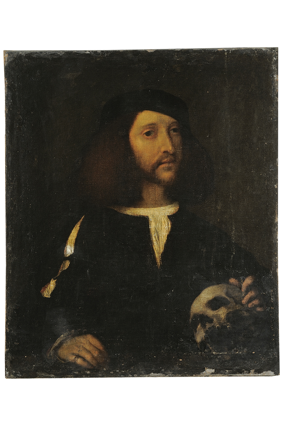 ritratto maschile con teschio (dipinto) - ambito veneto (prima metà sec. XVI)