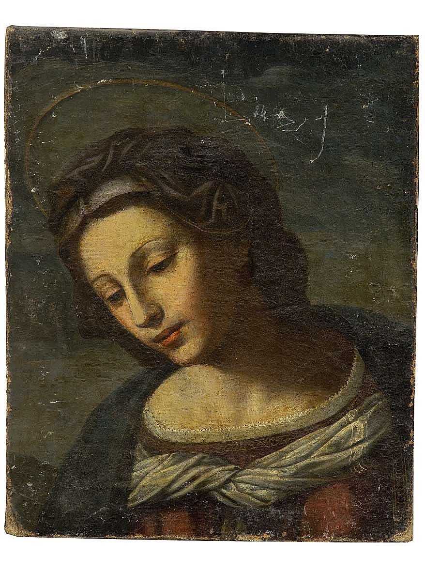Madonna (dipinto) di Franciabigio (maniera) (prima metà sec. XVII)