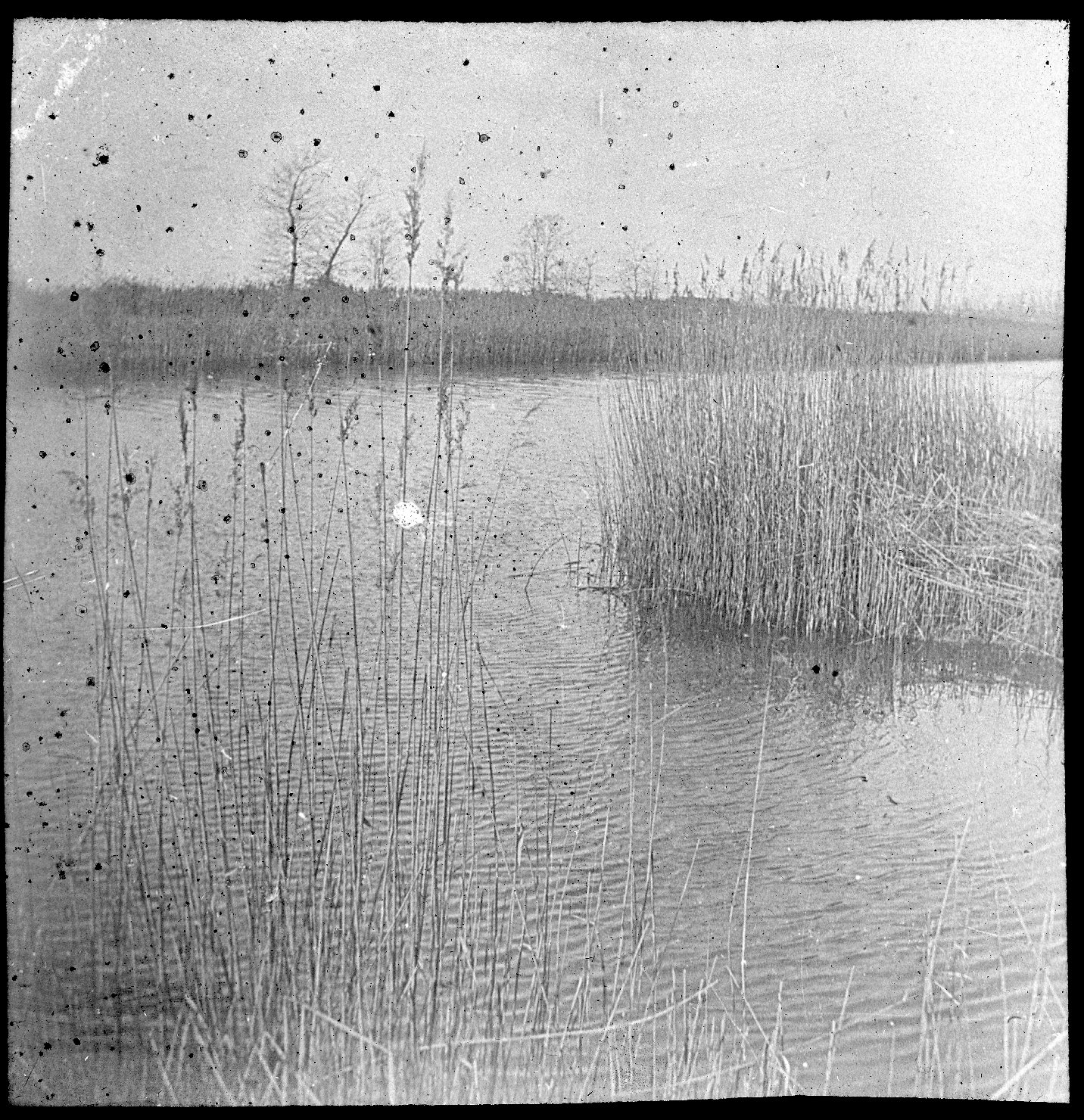 Veduta di un fiume (positivo) di Anonimo (XX)