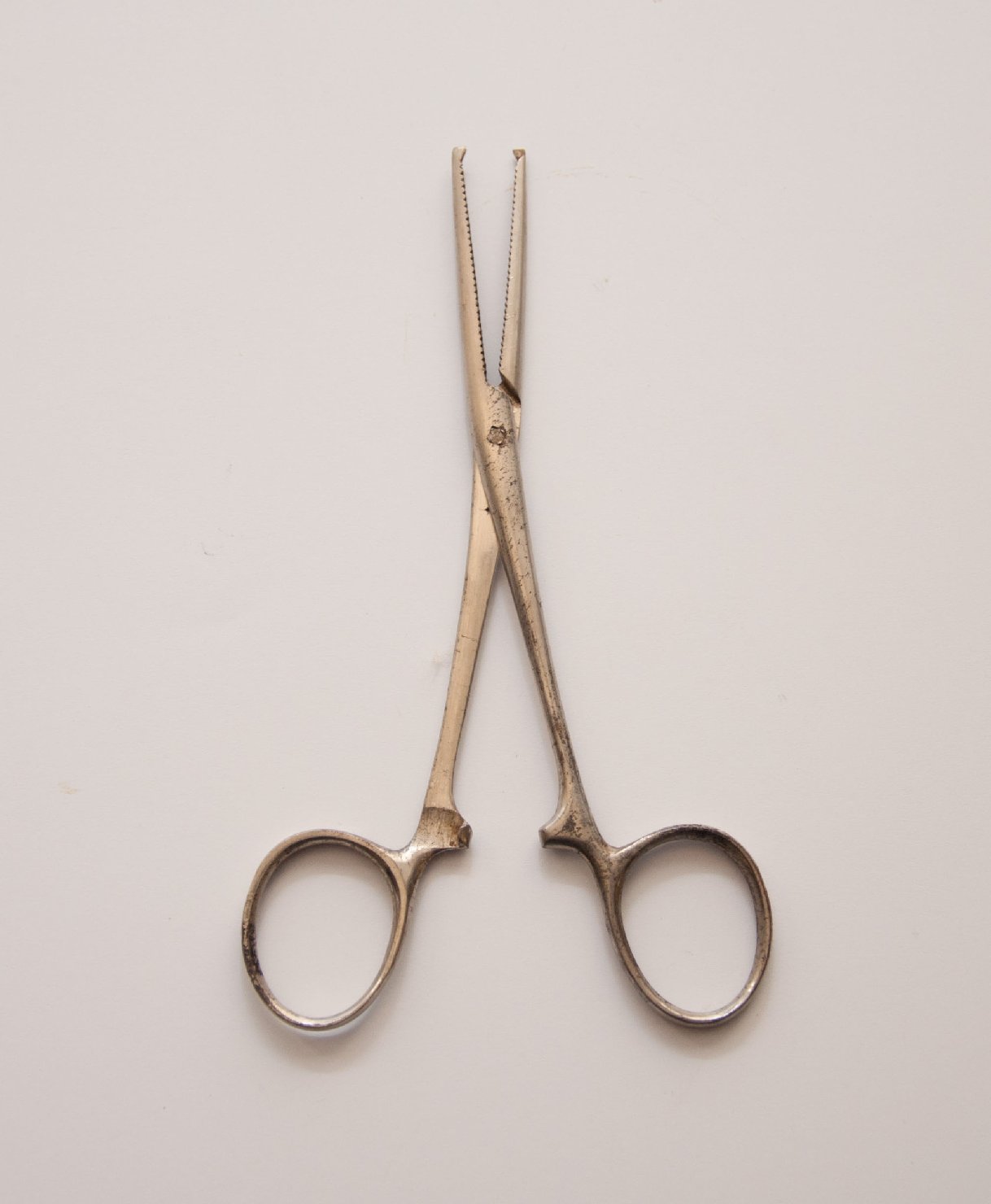 pinza di Kocher (pinza emostatica) (prima metà sec. XX)