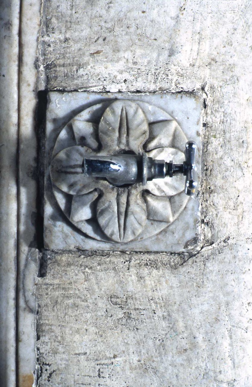 motivo decorativo fitomorfo (rilievo) - bottega fiorentina (ultimo quarto sec. XVI)