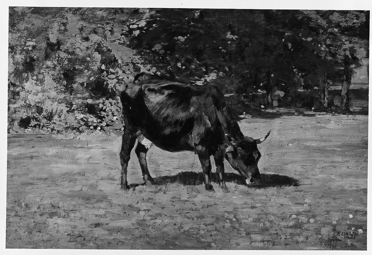 Mucca al pascolo, mucca (dipinto) di Ciardi Guglielmo (sec. XIX)