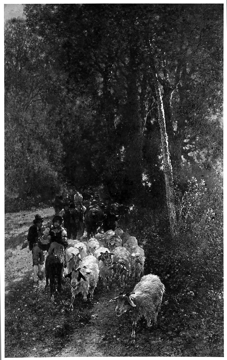 Nel bosco di Capodimonte, gregge (dipinto) di Cortese Federico (sec. XIX)