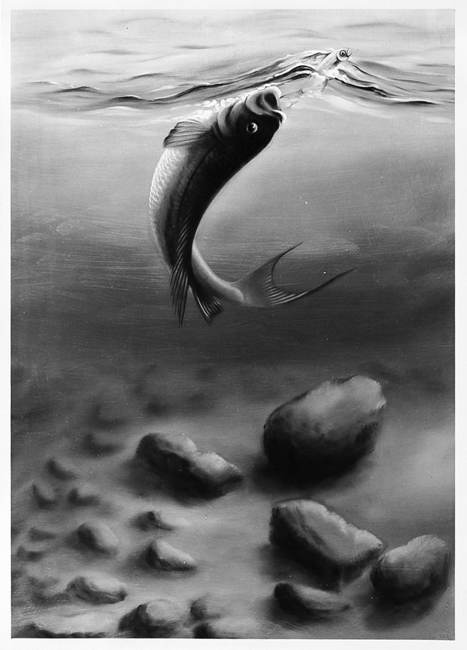 pesce (dipinto) di Sella Dolores (sec. XX)