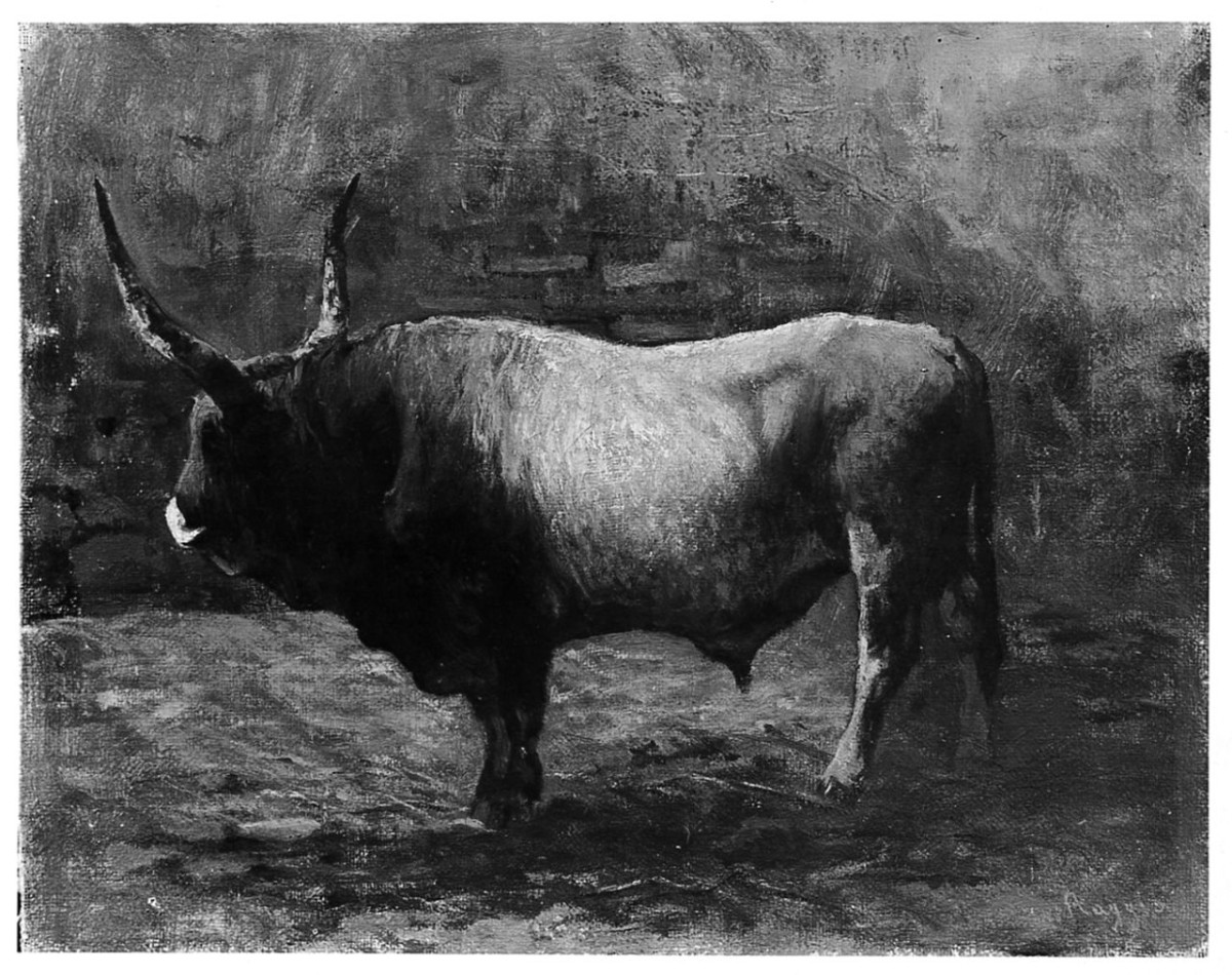 bufalo (dipinto) di Raggio Giuseppe (seconda metà sec. XIX)
