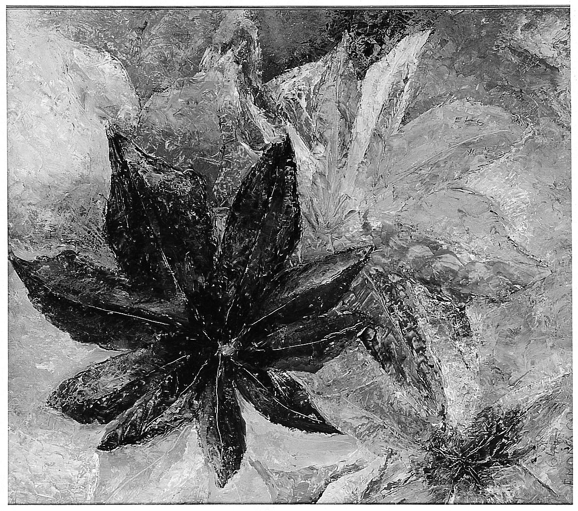 Foglie, natura morta (dipinto) di Monaco Franco (sec. XX)