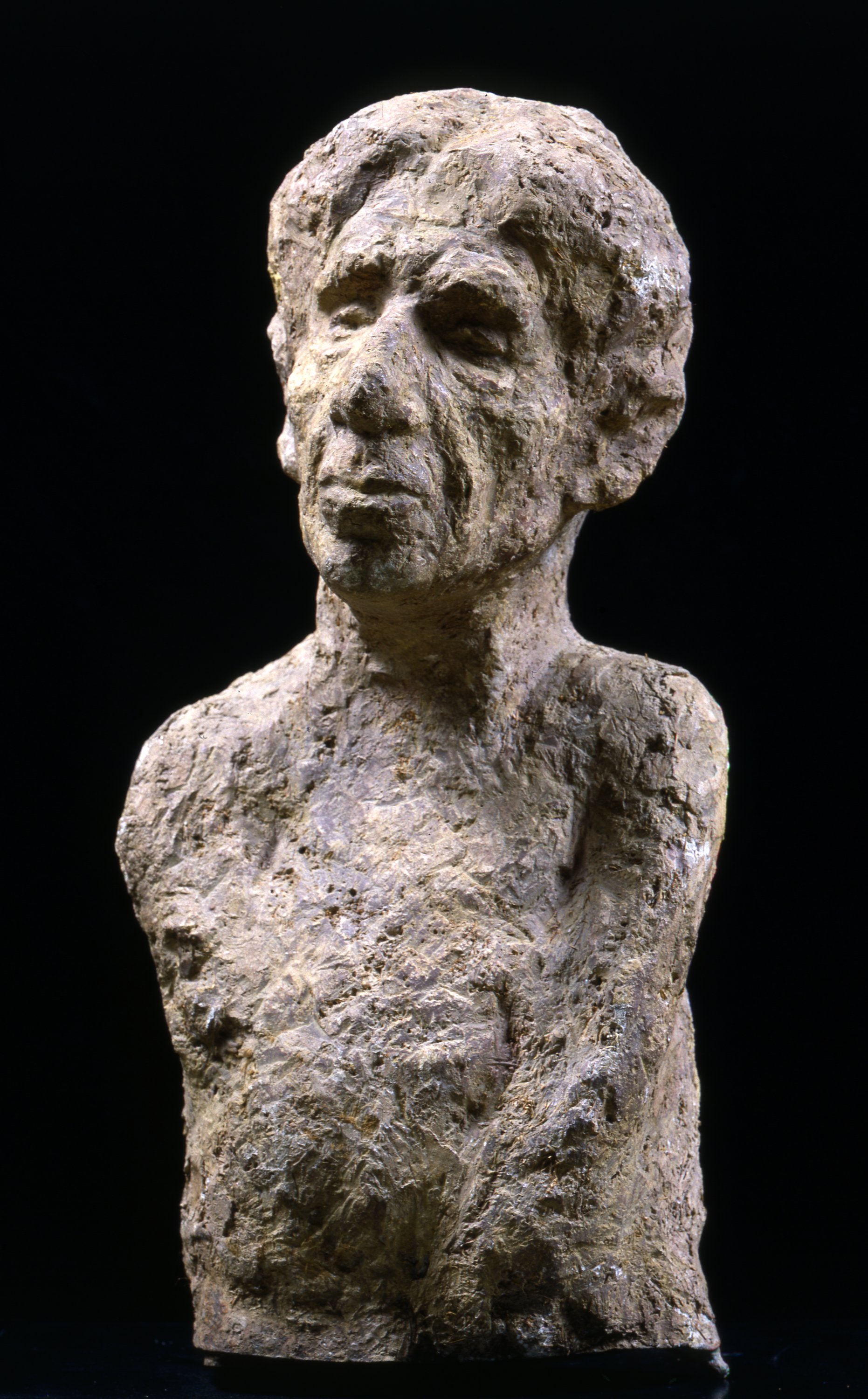 busto ritratto di Giulio Barilli (scultura) di Pierucci Giulio (sec. XX)