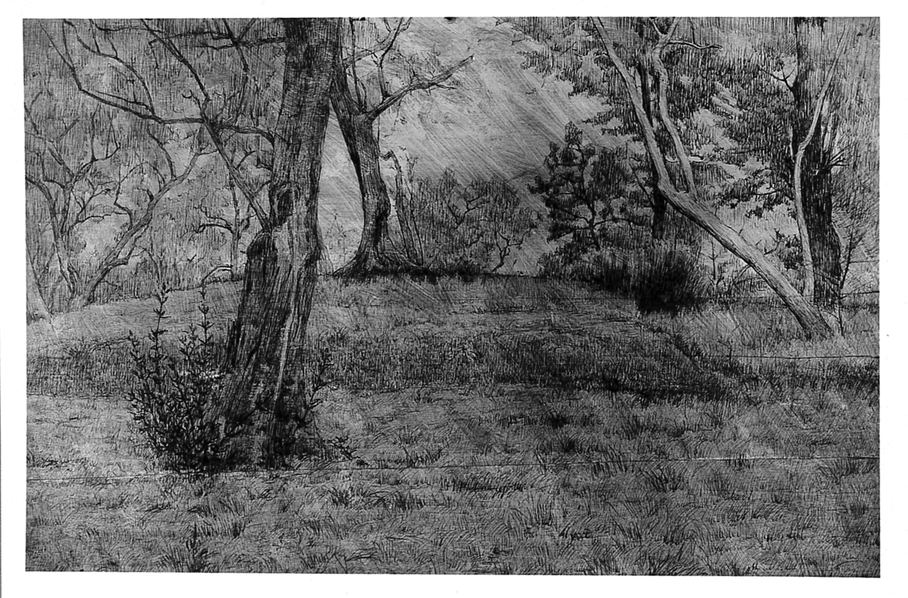 paesaggio con alberi (dipinto) di Simi Filadelfo (sec. XX)