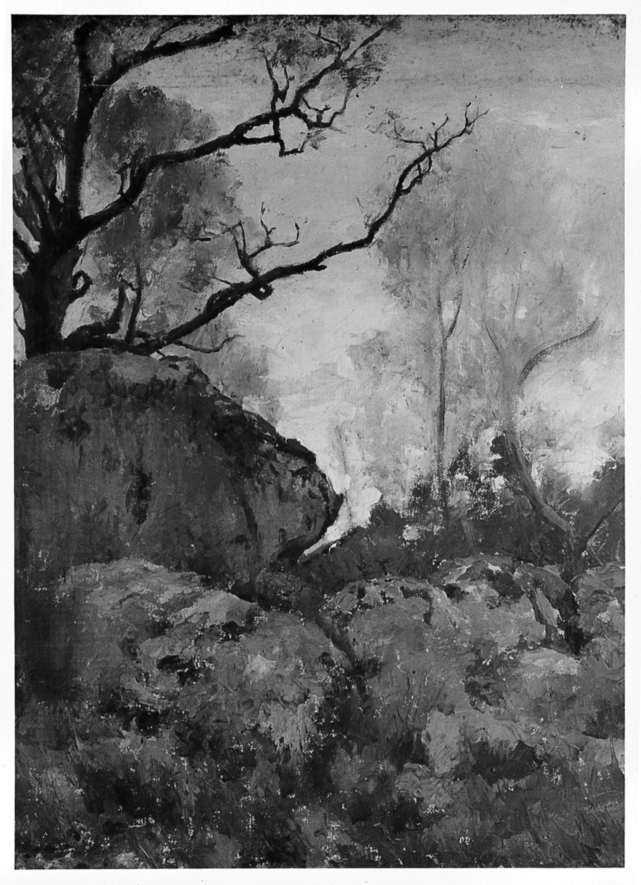 paesaggio con alberi (dipinto) di Simi Filadelfo (sec. XIX)