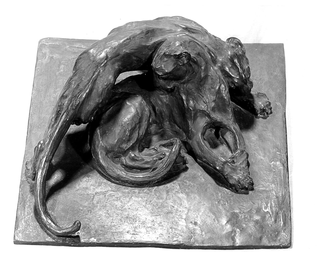 Carezza, Animali (scultura) di Tofanari Sirio (sec. XX)
