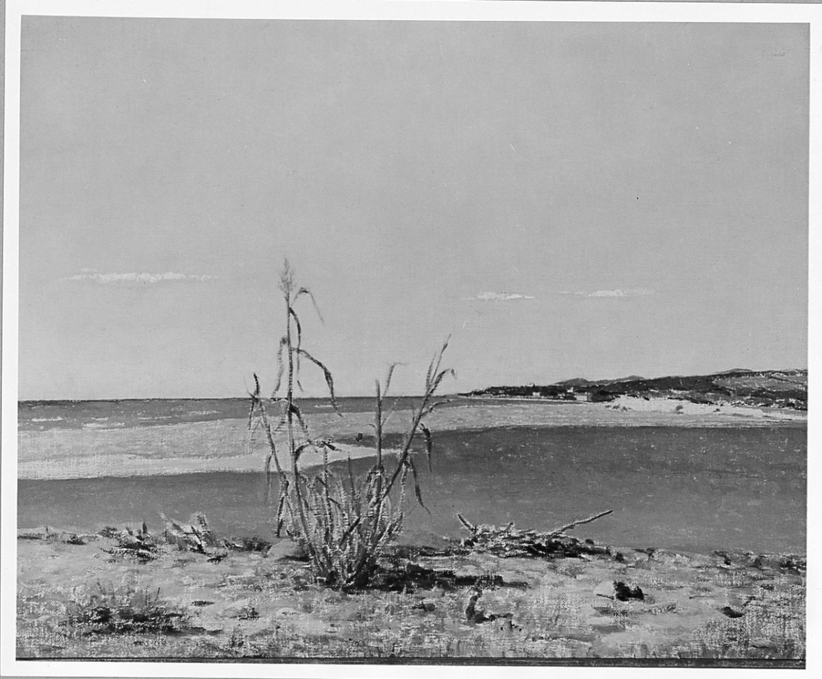 Vada, paesaggio marino (dipinto) di Vagaggini Memo (sec. XX)