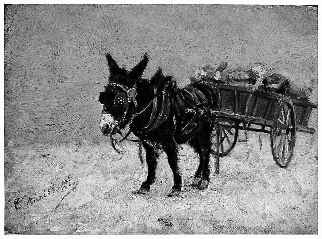 Ane (Asino dell'erbivendolo), asino (dipinto) di Ancillotti Torello (sec. XIX)