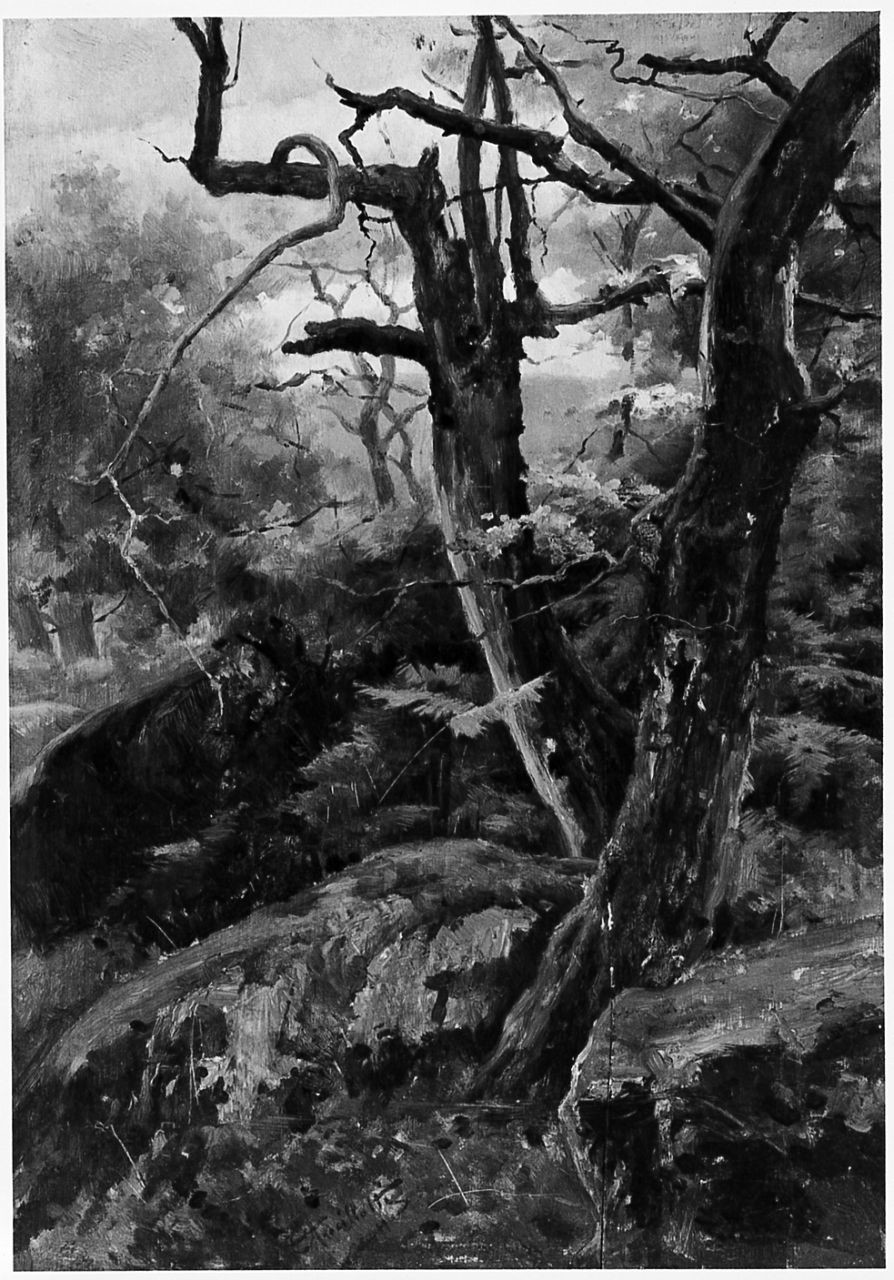 Forêt à Marlotte, paesaggio con alberi (dipinto) di Ancillotti Torello (sec. XIX)
