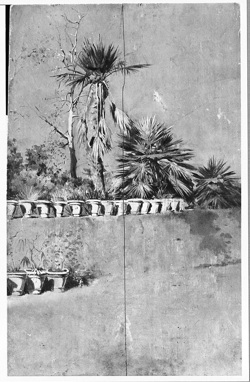 terrazza con palme (dipinto) di Ancillotti Torello (sec. XIX)