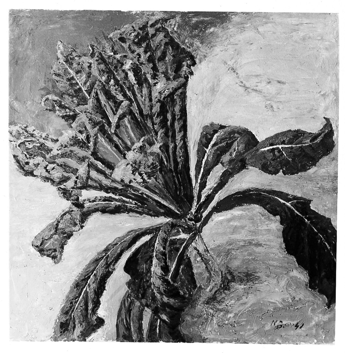 cavolo (dipinto) - ambito italiano (sec. XX)